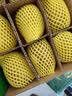 佳沛（zespri）新西兰金奇异果12粒特大果124-146g猕猴桃中秋节礼品送水果礼盒 实拍图