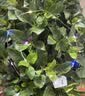 京东物流 led小灯串彩光鲜花波波球满天星蛋糕花店装饰灯串小白盒 彩色灯串 0.5米*1个 实拍图
