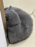 网易严选宠爱相伴全价猫粮 实惠宠物主粮成幼猫爱心公益 美毛护肠胃 1.8kg 实拍图