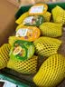 佳沛（zespri）新西兰金奇异果10粒巨大果146-175g猕猴桃中秋节礼品送水果礼盒 实拍图