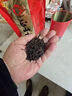 正山小种红茶2025养胃新茶浓香型散装多规格口粮茶叶自己喝 正山小种红茶30g试喝 实拍图