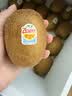 佳沛（zespri）新西兰金奇异果22粒巨大原箱146-175g猕猴桃中秋节礼品送水果礼盒 实拍图