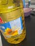 金龙鱼 食用油 葵花籽清香型调和油5L （新老包装随机发货） 实拍图