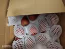 京鲜生国产考蜜斯冰淇淋红啤梨 净重4.5斤 单果150g+ 新鲜水果 源头直发 实拍图
