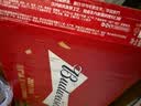 百威啤酒mini红罐淡色拉格255ml*24小罐整箱装京东自营喜酒中秋送礼 实拍图