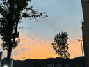 薇诺娜第二代特护霜50g舒敏保湿补水修护乳液面霜七夕情人节礼物 实拍图