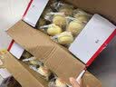 港荣蒸蛋糕奶香900g蛋糕小面包早餐零食饼干西式糕点甜品中秋礼品盒 实拍图