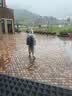 VIPY一次性雨衣儿童印花加厚便携防暴雨学生雨披长款可背书包 酷蛙 实拍图