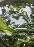 赶海弟 盐渍海带苗250g 火锅食材配菜 新鲜头茬嫩苗海带芽丝 南北干货 实拍图