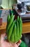 云南新鲜佛手果柑香橼黄色佛手水培观赏清供把玩闻香食用现货速发 2斤新鲜佛手（青黄随机） 实拍图
