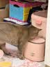 皇家猫粮 幼猫猫粮 幼猫奶糕 K36 通用粮 4-12月 2KG 实拍图