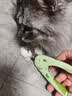 HELLOJOY猫咪指甲剪LED灯宠物猫猫狗狗剪指甲钳子神器指甲刀带灯 实拍图