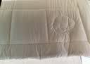 京东京造【里外全棉】100%新疆棉花被芯被子四季通用纯棉 秋冬被1.5x2m 实拍图