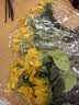 盛世泰堡向日葵仿真花束假花花艺摆件太阳花手捧花绢花拍照道具5支装 实拍图