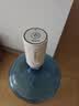 志高（CHIGO）抽水器桶装水 电动抽水泵饮水机纯净水取水器自动上水器D52A 实拍图
