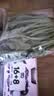 【24小时菜】菠菜苗250g(长度≤20cm) 实拍图