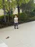 活石（LIVING STONES）RC遥控车高速漂移跑车玩具男孩遥控汽车四驱遥控赛车生日七夕礼物 实拍图