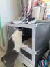 蔻丝猫笼子带厕所一体大猫透明猫别墅猫窝大号家用猫柜承重升级带猫草 实拍图