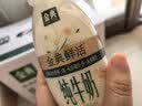 伊利金典3.8g乳蛋白鲜活纯牛奶250ml*8 30天常温短保 礼盒装 实拍图