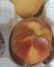 京鲜生山西水蜜桃 净重4.5斤 单果140g+ 新鲜水果 源头直发包邮 实拍图