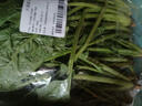 大菠菜300g 实拍图