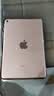 苹果 iPad Air2/Air3 mini2/4/5 iPad5/6/7/8 二手平板电脑 iPad mini5 64G WiFi版 95成新 实拍图