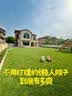 清雅仿真草坪假草坪阳光房户外人造铺垫地毯绿色楼顶雨棚消音垫假草皮 3cm加密款消音草(1米宽*1米长)-11针 实拍图