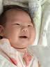 蒙牛【新鲜日期】新养道无乳糖高钙型牛奶200ml*24盒 送礼盒装 实拍图