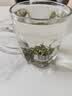 乐品乐茶毛尖茶叶特级明前春茶嫩芽2026新茶礼盒装250g冷泡茶绿茶自己喝 实拍图