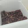 乐畅大红袍红花椒100g 无农残无硫熏无铅 干花椒炖卤肉调味料调料香辛 实拍图