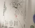 猫太子护栏坐姿矫正器儿童防低头写字矫正器小学生保护近视弯腰驼背幼儿姿势学习纠正读写台桌面款 绿 实拍图