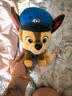 汪汪队立大功（PAW PATROL）毛绒玩具狗狗陪睡玩偶经典款阿奇小号坐姿男女孩儿童生日礼物 实拍图