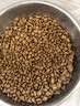 伯纳天纯经典系列通用蓝猫金渐层美短成猫猫粮毛球管理10kg/20斤 实拍图