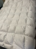 安睡宝（SOMERELLE）羽绒被95%俄罗斯进口大朵白鹅绒被子春秋被冬被抗菌被芯鹅绒被 俄罗斯进口95%大朵白鹅绒立体锁暖-冬被 【抗菌面料】 【220*240cm-抗菌抗菌保暖】 实拍图