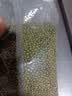十月稻田 绿豆 500g 一级 低脂粗粮 东北杂粮 绿豆汤 可发豆芽 豆浆豆 实拍图