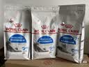 皇家猫粮 室内成猫粮 I27 通用粮 12月以上 2KG 实拍图