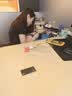 品胜 苹果13电池/iphone13电池 3C认证【到店免费安装】苹果手机内置电池更换 【3450mAh】 实拍图