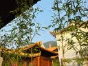 忆丝芸染发膏植物染发剂男士专用自己在家短发染发不沾盖白头染头发水 蓝黑色（免漂） 实拍图