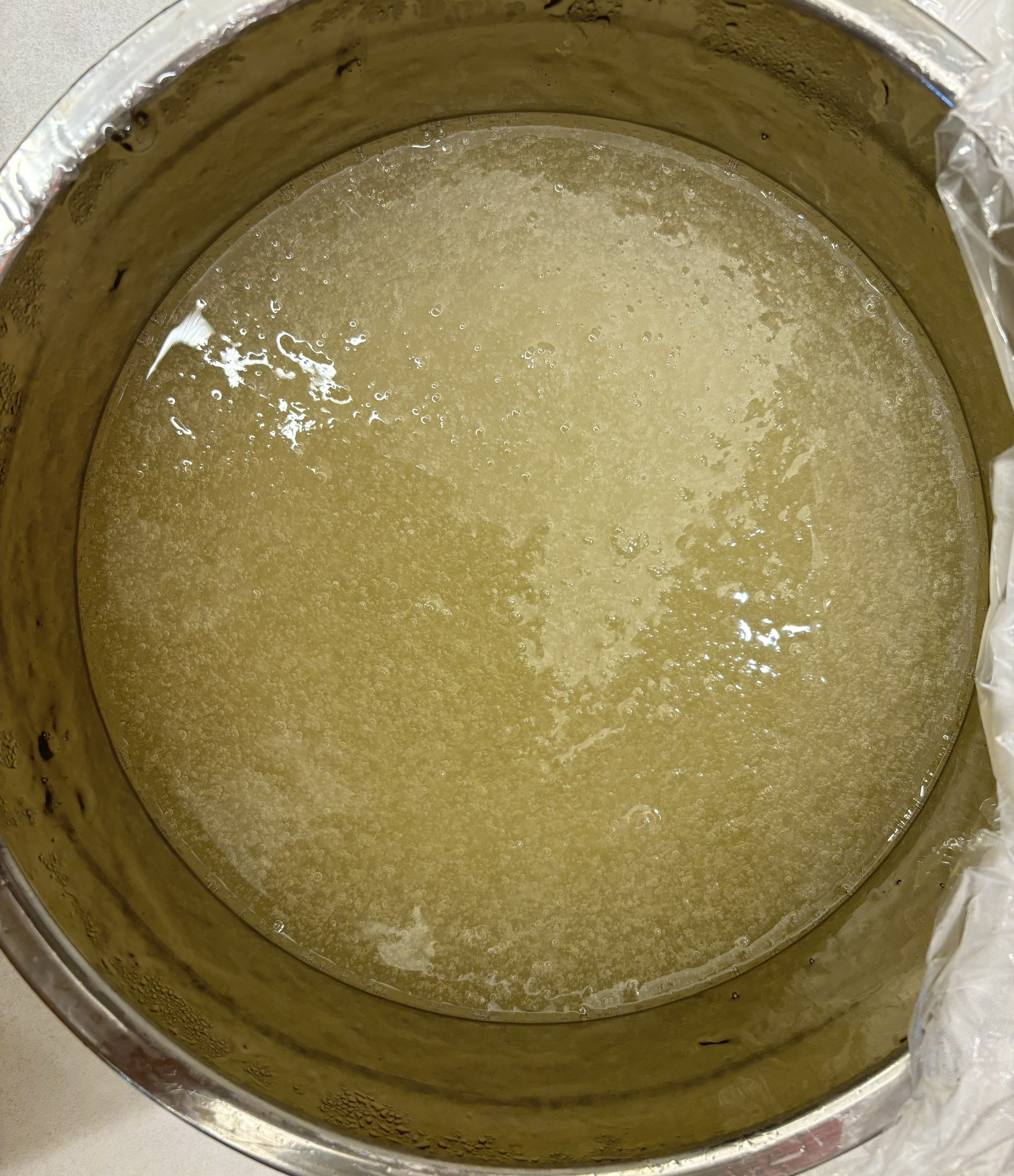鲜窝窝 冰粉籽 四川手搓气泡冰粉配料小料全套商用手工冰籽家用摆摊100g 实拍图