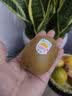 佳沛（zespri）新西兰阳光金奇异果18粒礼盒优选果单果103-124g 猕猴桃水果礼盒 实拍图