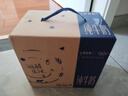 蒙牛【新鲜日期】特仑苏纯牛奶250ml*16盒 家庭早餐 送礼礼盒 实拍图