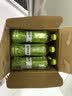 伊藤园（ITOEN）清爽绿茶500ml*15箱 茶叶饮料无糖茶饮料 0糖0脂0卡饮料 健康 实拍图