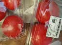 西红柿约550g 实拍图