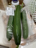 【水果菜】荷兰水果黄瓜约400g 实拍图