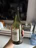 京东京造新西兰马尔堡长相思干白葡萄酒750ml   进口自营红酒 礼物微醺 实拍图
