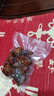 佳帮手真空封口机全自动食品抽真空包装机大吸力食品腊肠肉保鲜食品塑封机 实拍图