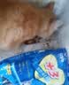 好主人猫粮 +3成猫粮金枪鱼味2斤1kg 天然粮呵护泌尿健康增强抵抗 +3成猫粮2斤 实拍图