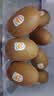 佳沛（zespri）新西兰阳光金奇异果巨大果22粒原箱单果146-175g 猕猴桃水果礼盒 实拍图