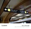 松下（Panasonic）Lumix G100D M43画幅相机 M43卡口 微单相机 无反数码相机 G100D+【12-60mm白盒】单镜套装 实拍图