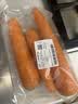 胡萝卜约600g 实拍图